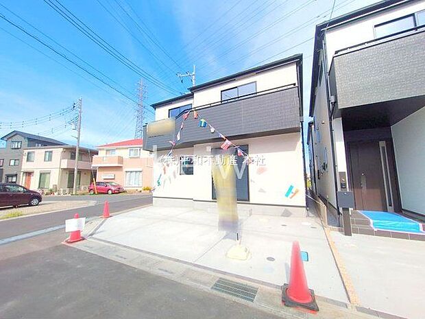 撮影日(2025-10-08 00:00:00)