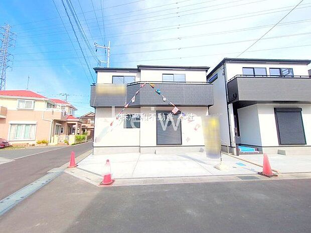 撮影日(2025-10-08 00:00:00)