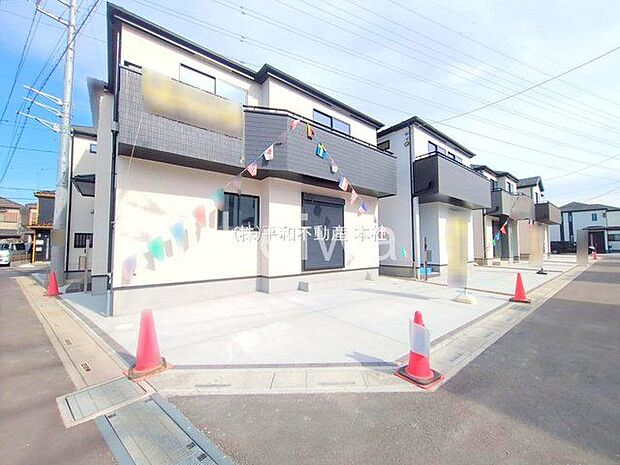 撮影日(2025-10-08 00:00:00)