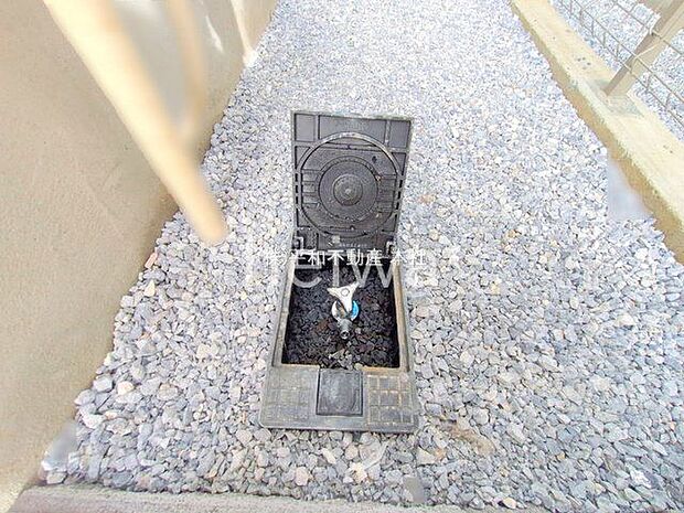 撮影日(2025-10-08 00:00:00)