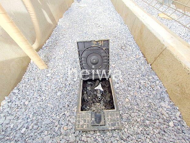 撮影日(2025-10-08 00:00:00)