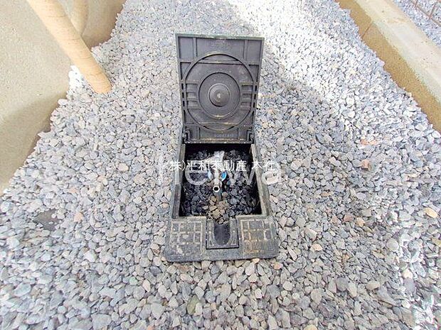 撮影日(2025-10-08 00:00:00)