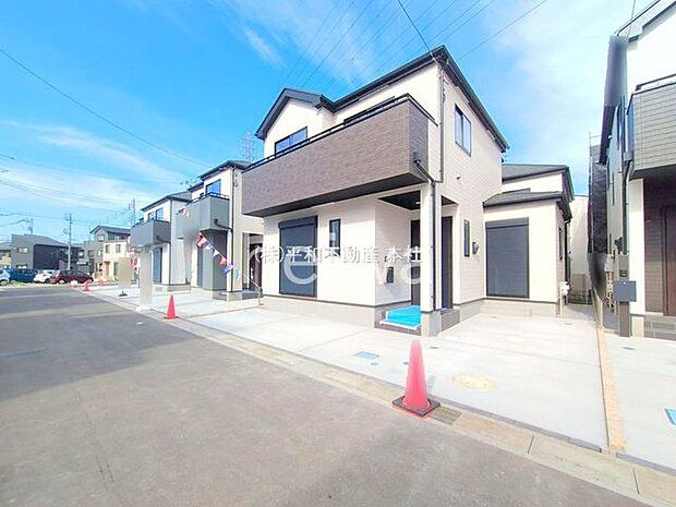 撮影日(2025-10-08 00:00:00)