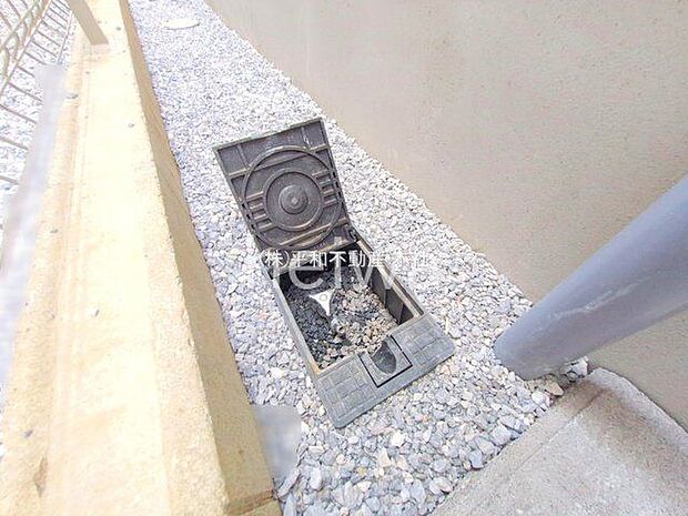 撮影日(2025-10-08 00:00:00)