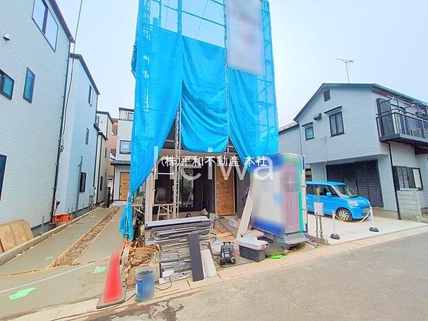 撮影日(2025-11-05 00:00:00)