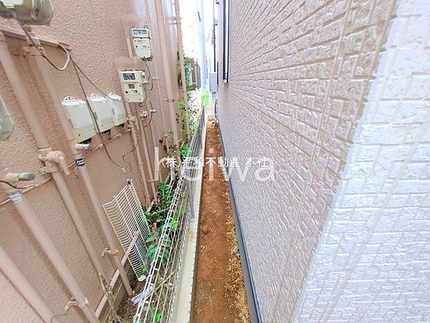 撮影日(2025-11-11 00:00:00)