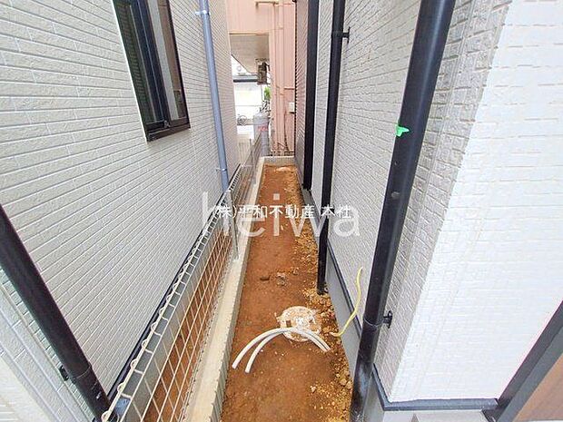 撮影日(2025-11-11 00:00:00)