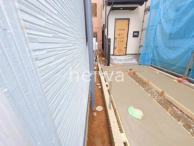 撮影日(2025-11-05 00:00:00)