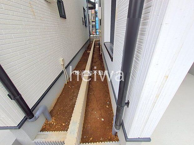 撮影日(2025-11-05 00:00:00)