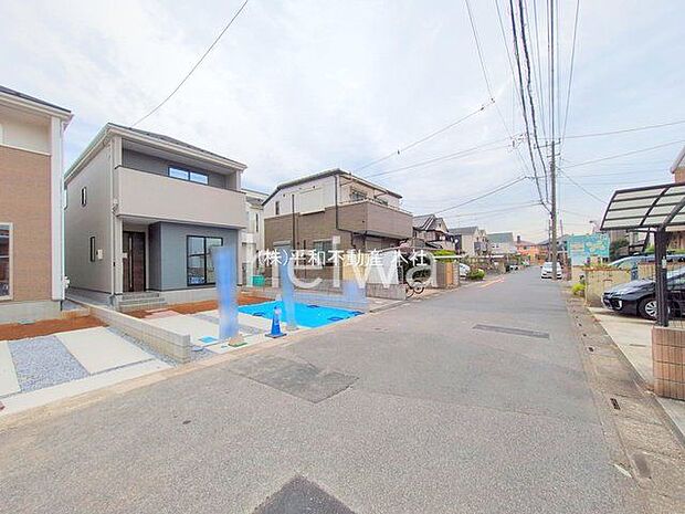 撮影日(2025-11-13 00:00:00)