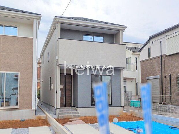 撮影日(2025-11-13 00:00:00)