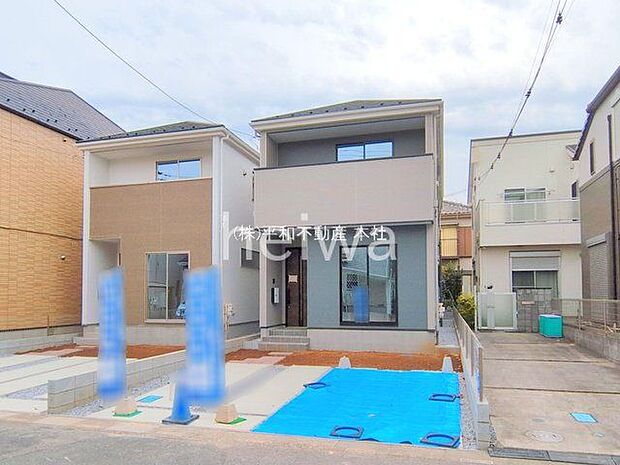 撮影日(2025-11-13 00:00:00)