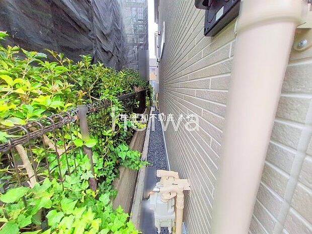 撮影日(2025-10-23 00:00:00)