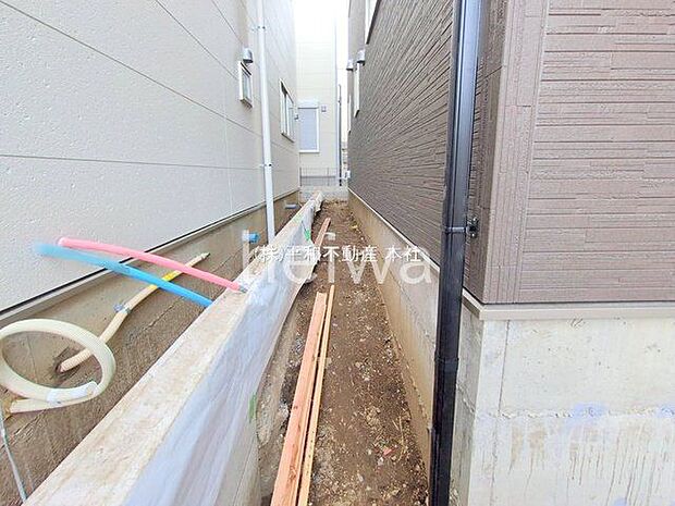 撮影日(2025-10-29 00:00:00)