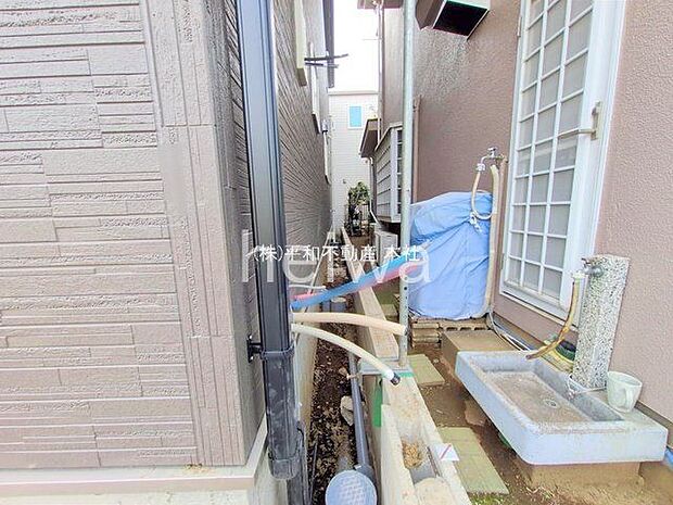 撮影日(2025-10-29 00:00:00)