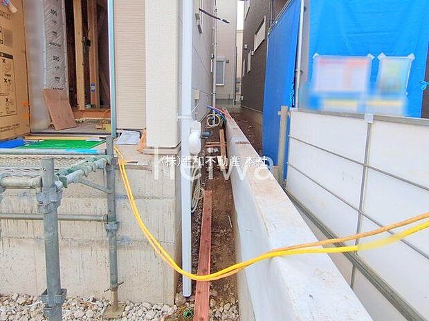 撮影日(2025-10-29 00:00:00)