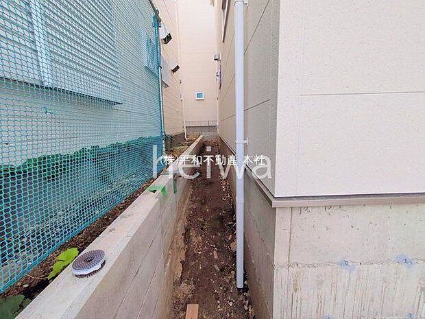 撮影日(2025-10-29 00:00:00)