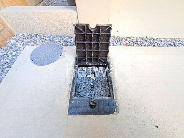 撮影日(2025-09-24 00:00:00)