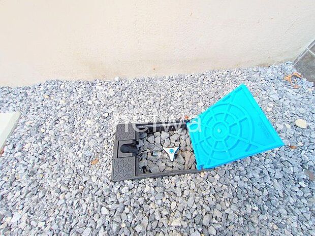 撮影日(2025-09-24 00:00:00)