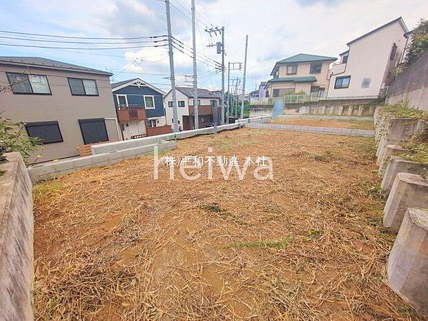 撮影日(2025-09-03 00:00:00)