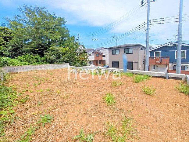 撮影日(2025-08-15 00:00:00)