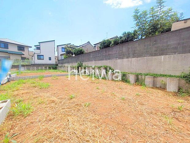 撮影日(2025-08-15 00:00:00)