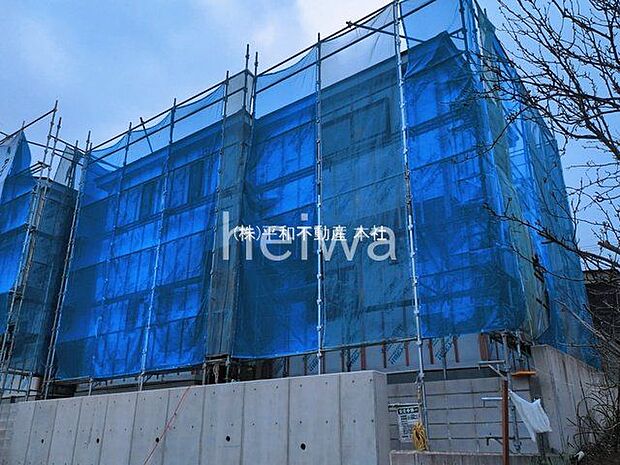 撮影日(2026-03-02 00:00:00)