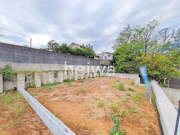 撮影日(2025-10-24 00:00:00)