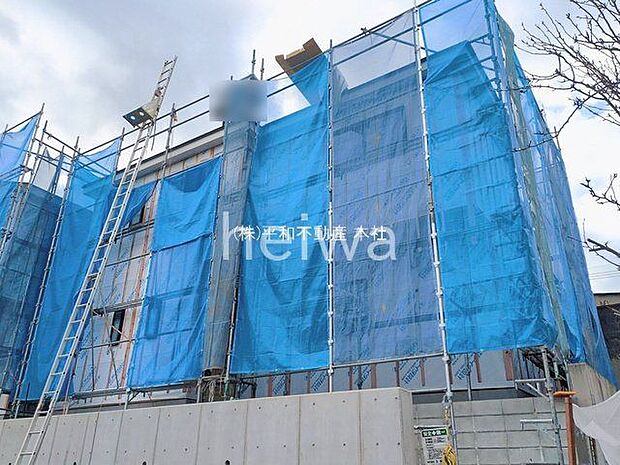 撮影日(2026-02-13 00:00:00)