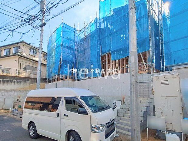 撮影日(2026-01-29 00:00:00)