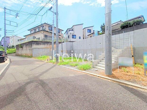 撮影日(2025-08-15 00:00:00)