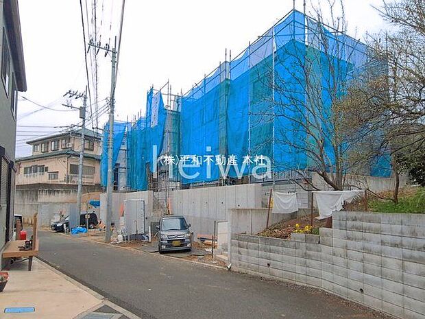 撮影日(2026-03-23)