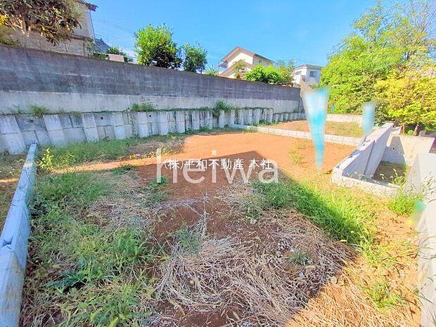 撮影日(2025-10-08 00:00:00)