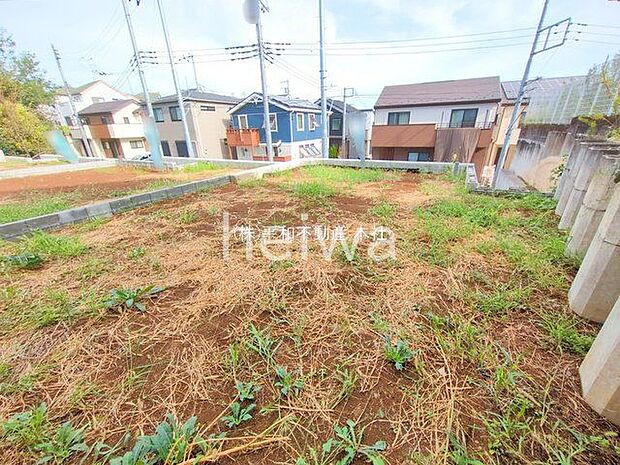 撮影日(2025-09-22 00:00:00)