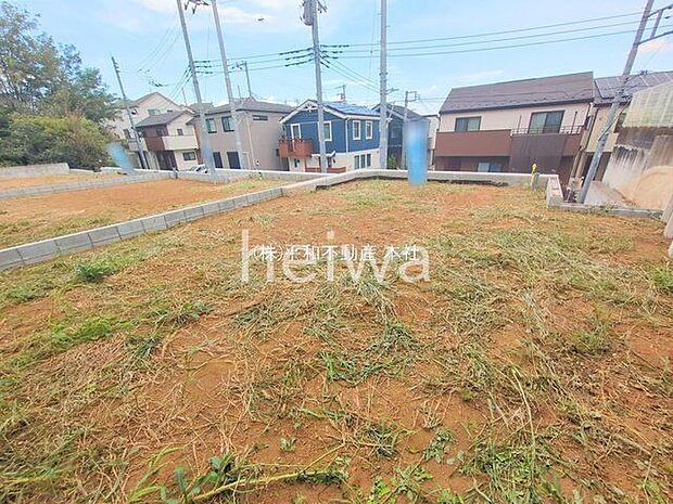 撮影日(2025-09-03 00:00:00)