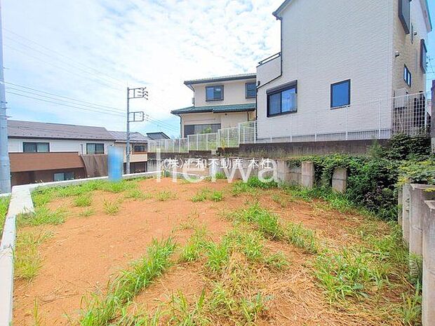 撮影日(2025-08-15 00:00:00)