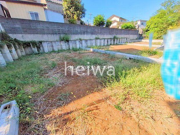 撮影日(2025-10-08 00:00:00)