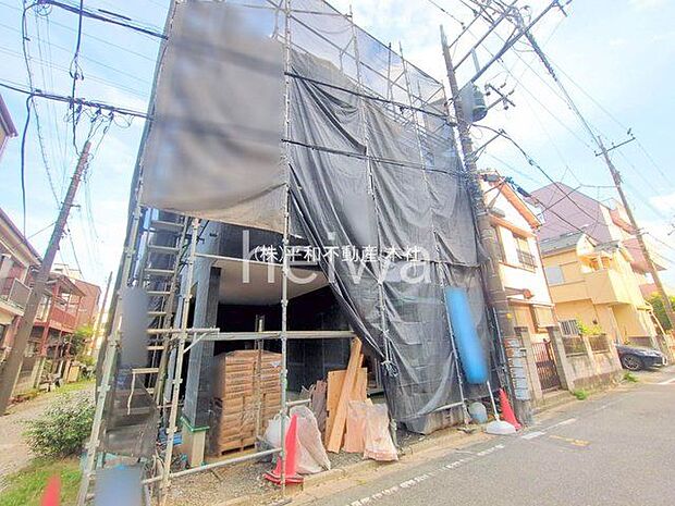 撮影日(2025-09-26 00:00:00)