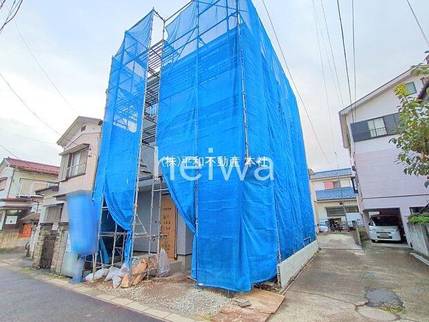 撮影日(2025-11-06 00:00:00)