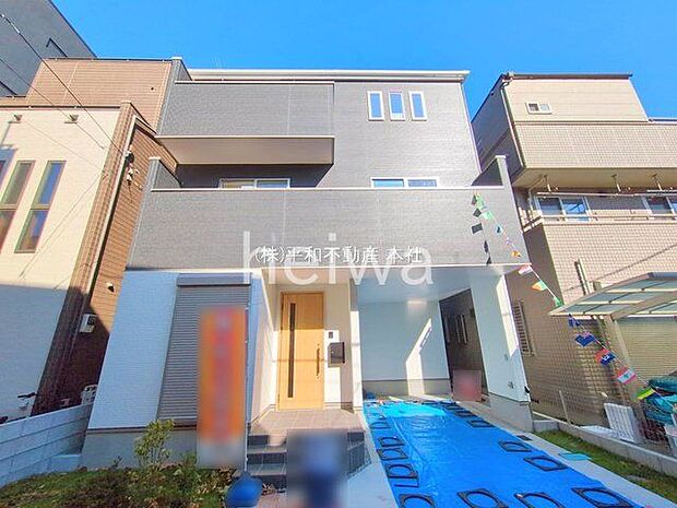 撮影日(2025-11-17 00:00:00)