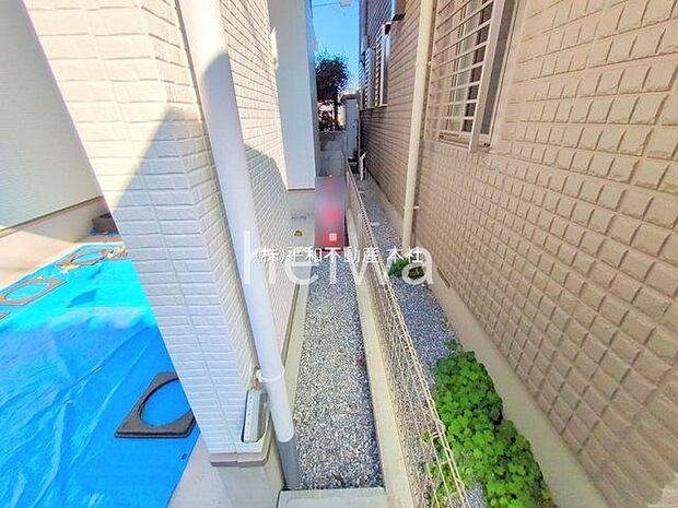 撮影日(2025-11-17 00:00:00)