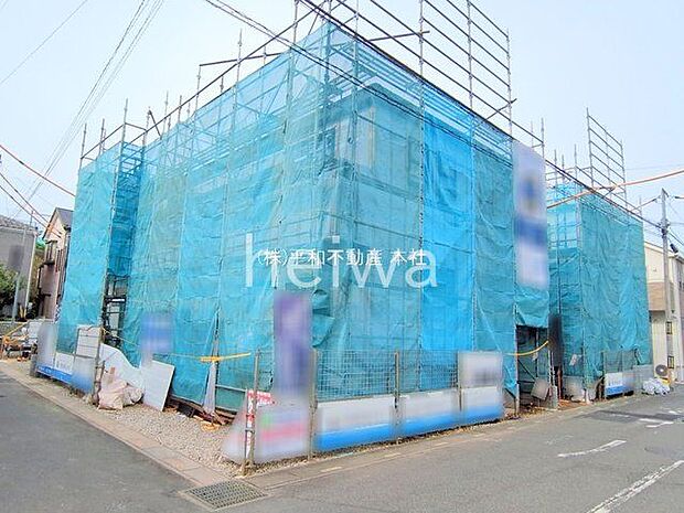 撮影日(2025-11-05 00:00:00)