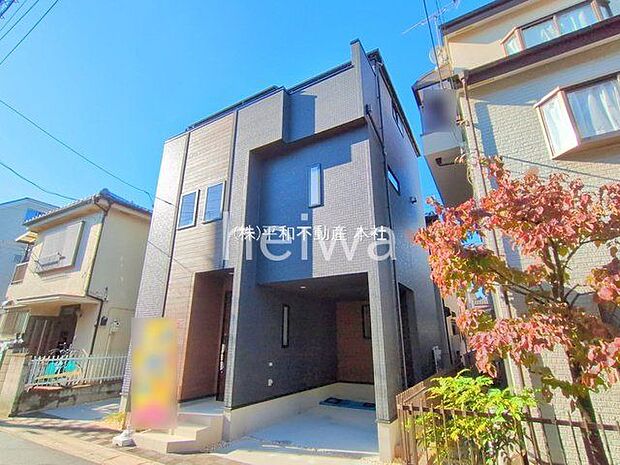 撮影日(2025-11-10)