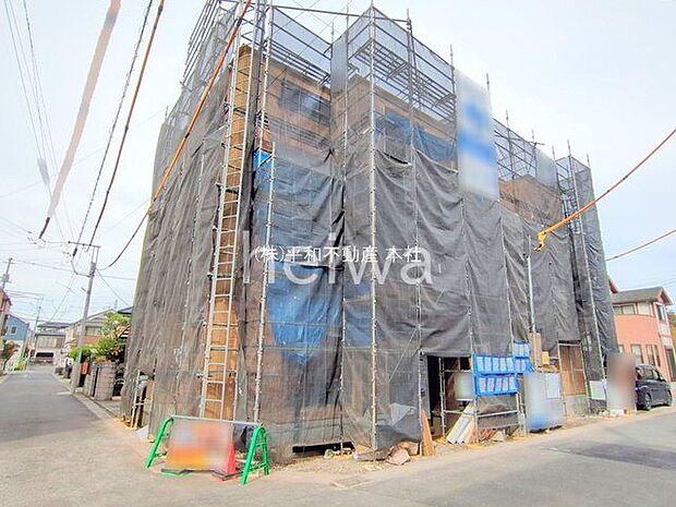 撮影日(2025-11-05 00:00:00)