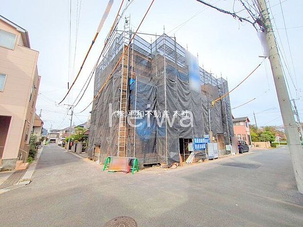 撮影日(2025-11-05 00:00:00)