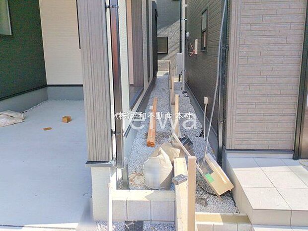 撮影日(2025-11-12 00:00:00)