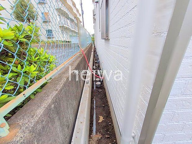 撮影日(2025-10-29 00:00:00)