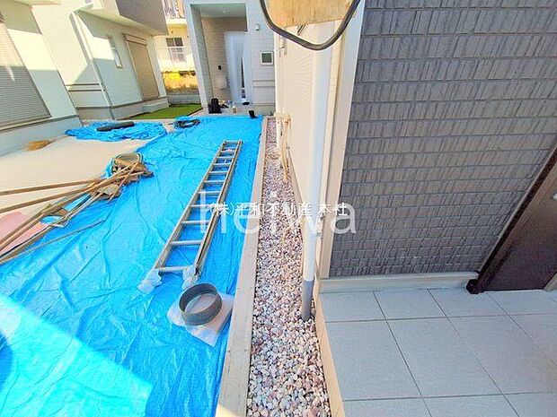 撮影日(2025-11-28 00:00:00)