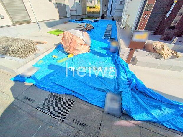 撮影日(2025-11-28 00:00:00)