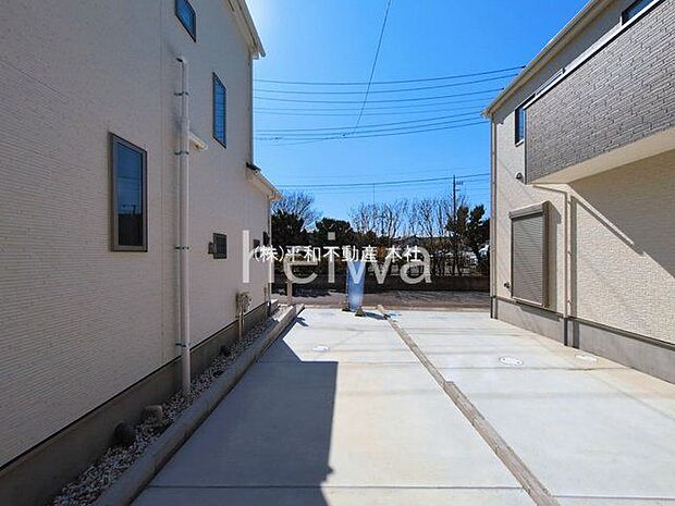 撮影日(2026-03-11 00:00:00)